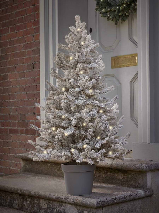 Frosted Fir Pre-Lit Potted Tree