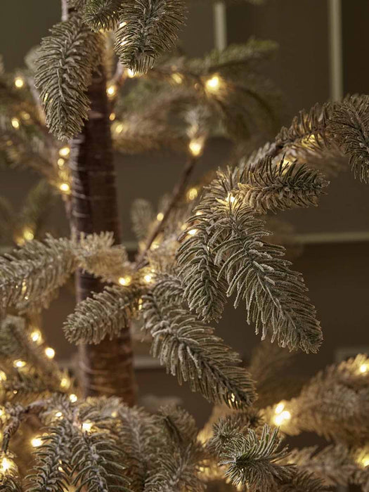 Indoor Outdoor Light Up Alpine Fir Tree - Small