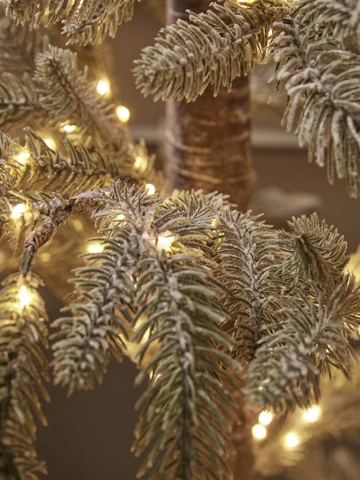 Indoor Outdoor Light Up Alpine Fir Tree - Small