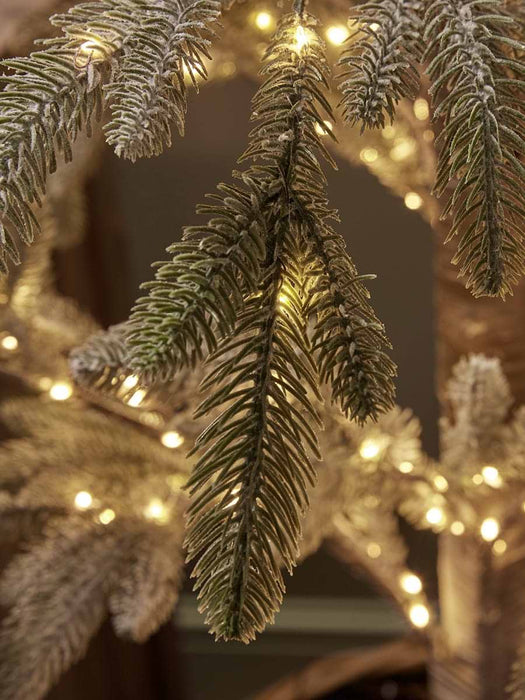 Indoor Outdoor Light Up Alpine Fir Tree - Small