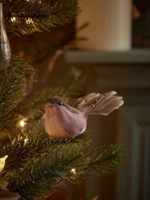 Three Feathered Bird Clips