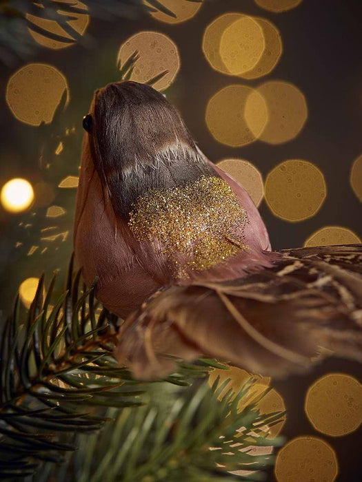 Three Feathered Bird Clips