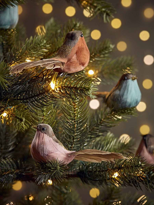 Three Feathered Bird Clips