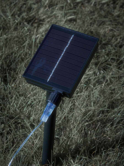 Solar Flowerburst Path Lights