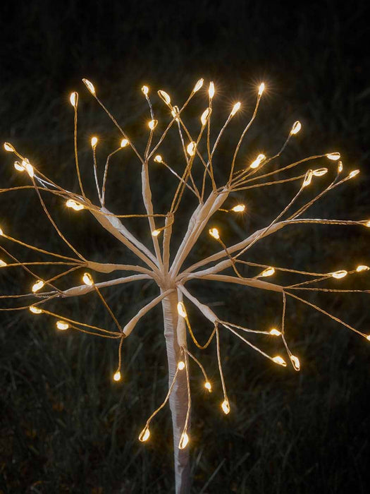 Solar Flowerburst Path Lights