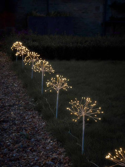 Solar Flowerburst Path Lights
