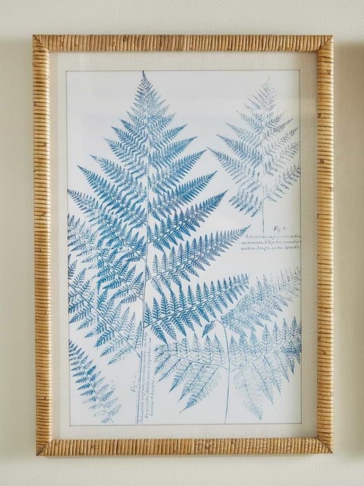 Two Blue Fern Framed Prints