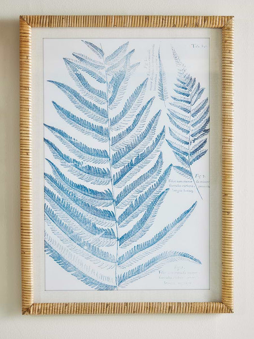 Two Blue Fern Framed Prints