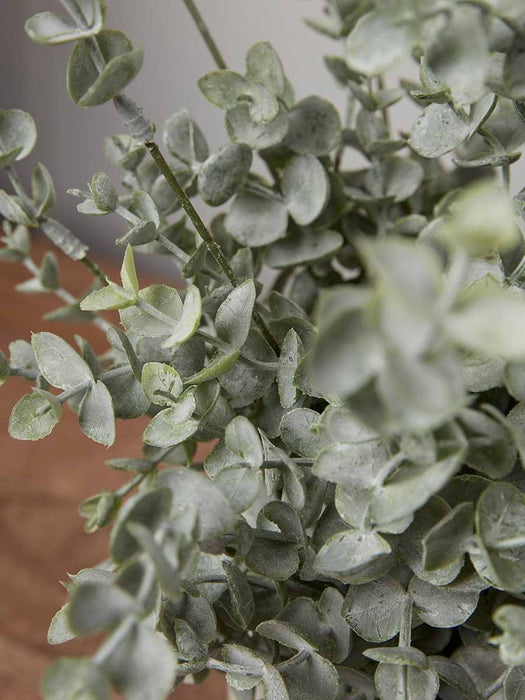 Faux Ceramic Potted Eucalyptus