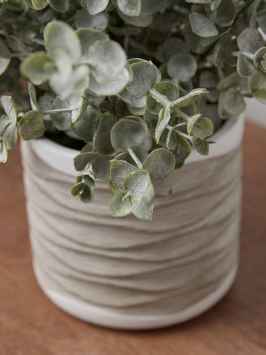 Faux Ceramic Potted Eucalyptus
