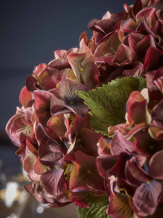 Three Burgundy Hydrangea Stems