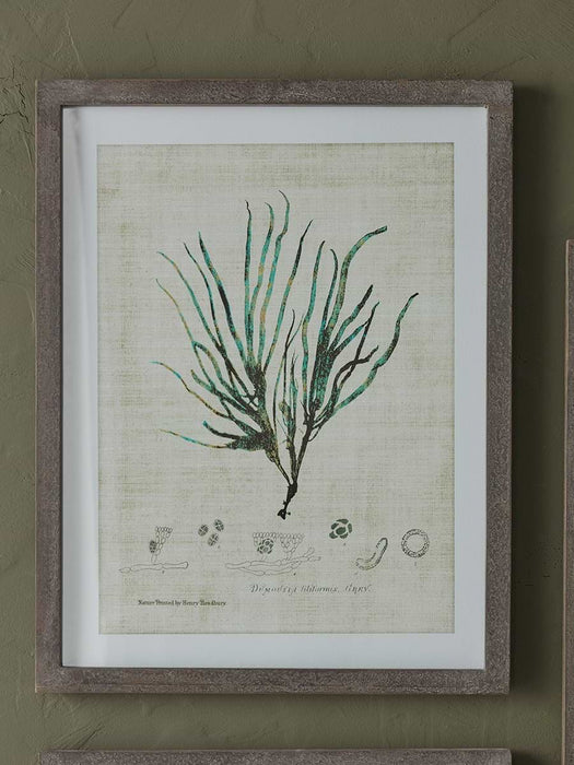 Three Botanical Wall Art Prints