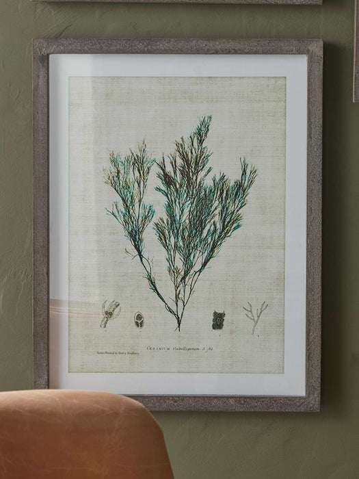 Three Botanical Wall Art Prints