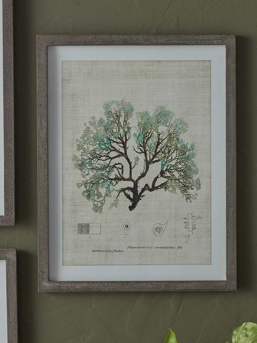 Three Botanical Wall Art Prints
