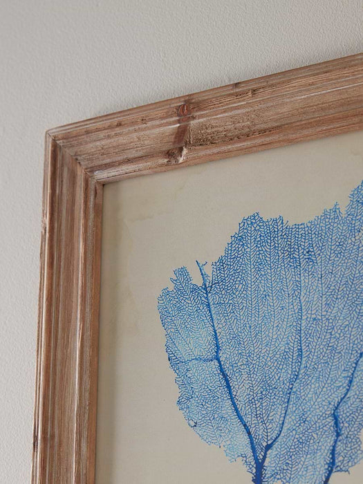 Two Blue Coral Framed Prints