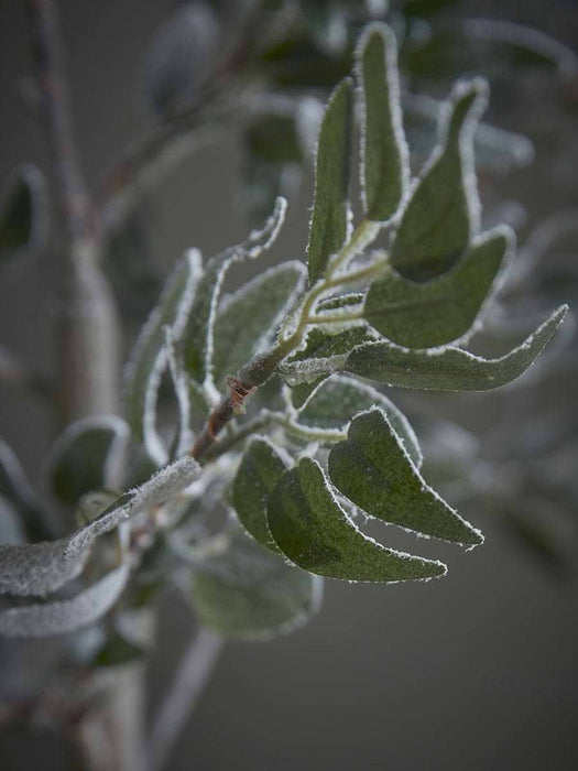 Indoor Outdoor Light Up Faux Olive Tree
