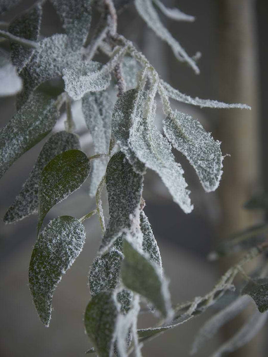 Indoor Outdoor Light Up Faux Olive Tree
