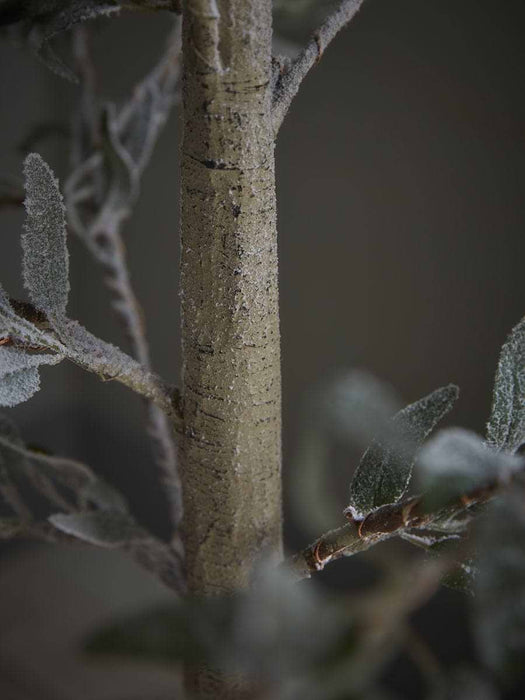 Indoor Outdoor Light Up Faux Olive Tree