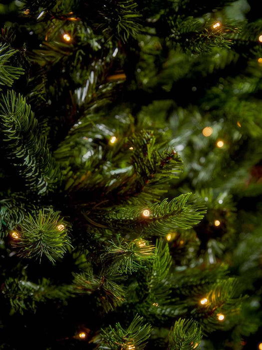 Outdoor Solar Pre-Lit Christmas Tree - 7ft