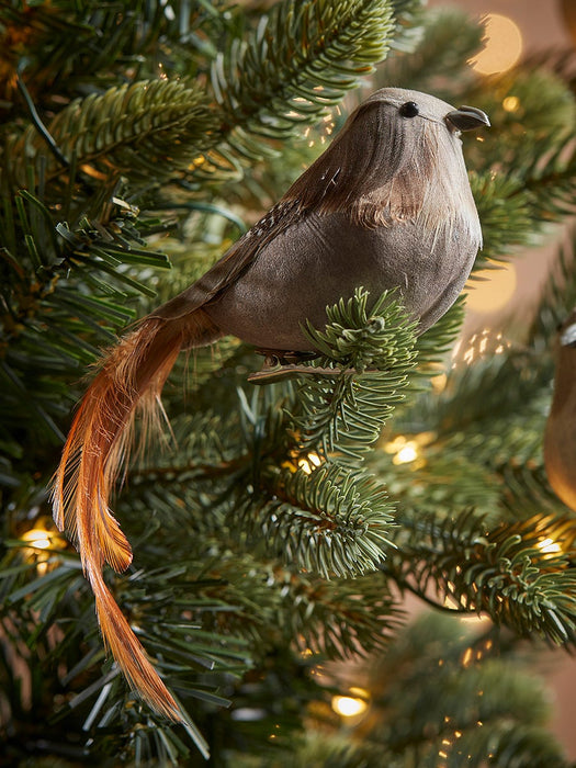 Four Feathered Bird Clips