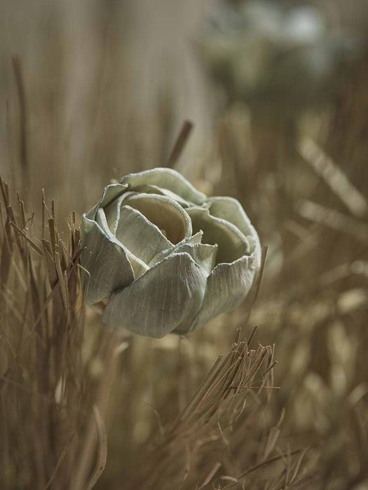 Mixed Dried Grass Bouquet