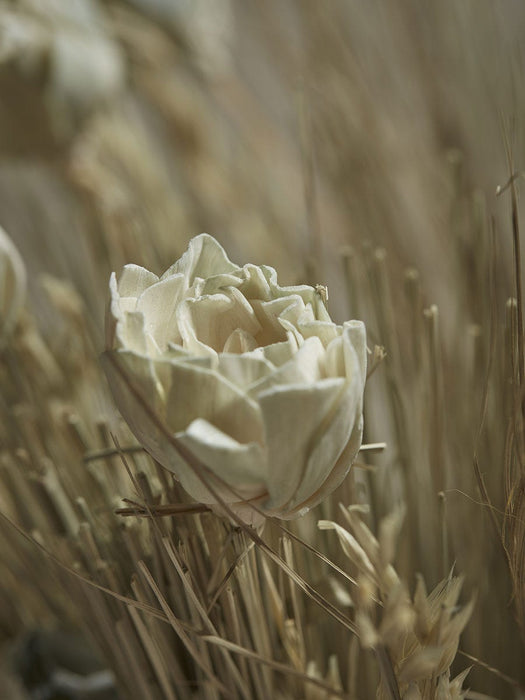 Mixed Dried Grass Bouquet