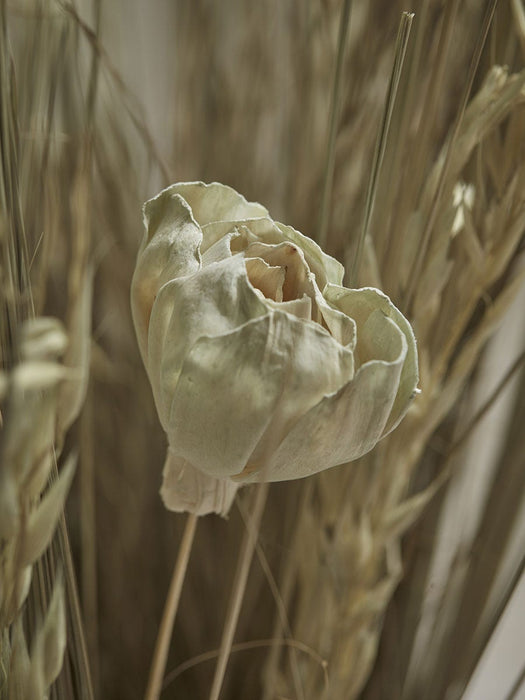 Mixed Dried Grass Bouquet