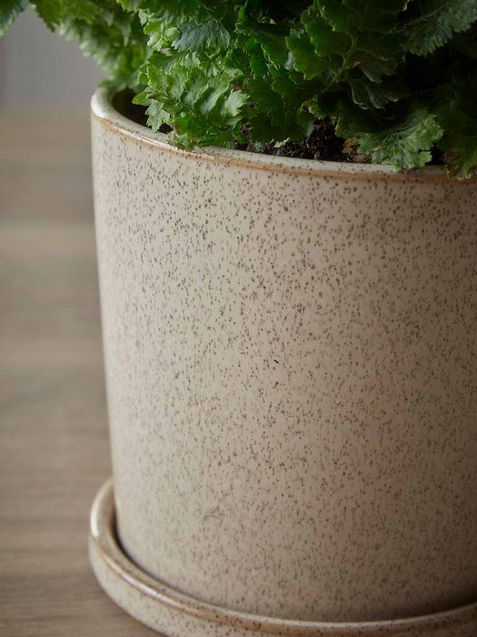 Speckled Glazed Planter & Saucer - Small