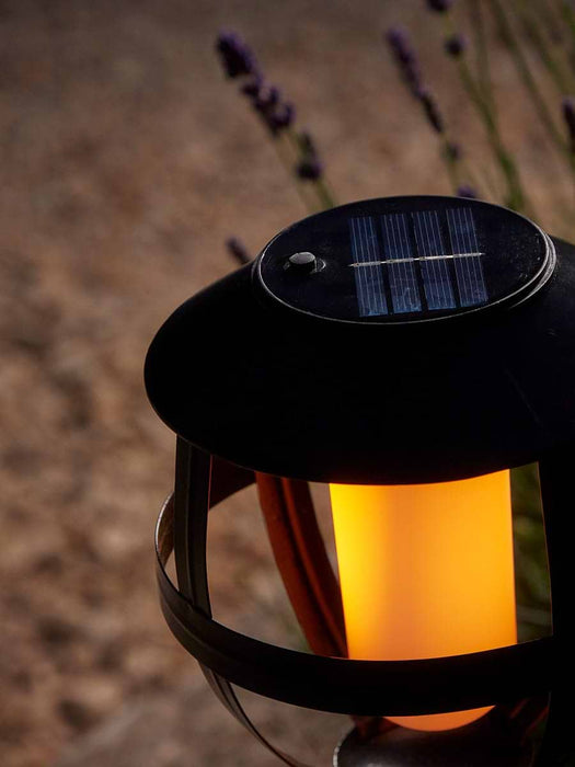 Solar Cage Stake Light