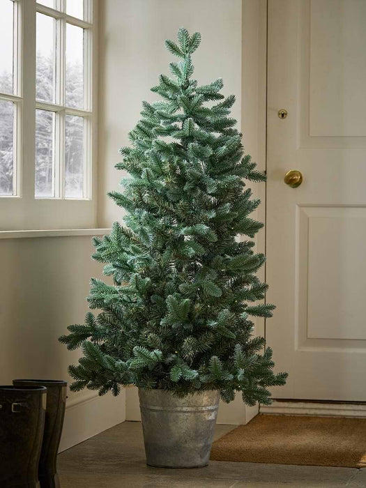 Indoor Outdoor Fabulously Full Fir Tree - Potted