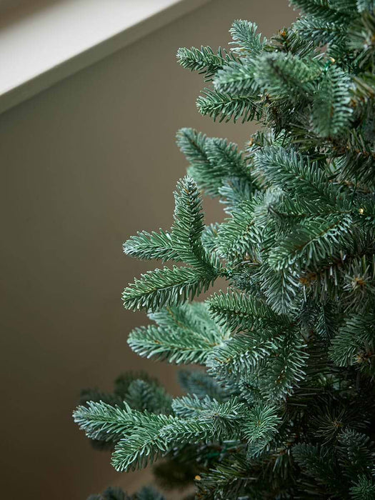 Indoor Outdoor Fabulously Full Fir Tree - Potted