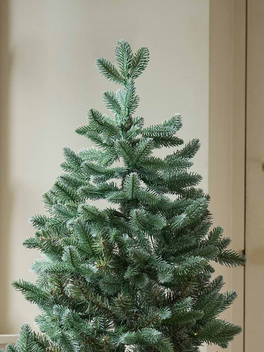 Indoor Outdoor Fabulously Full Fir Tree - Potted