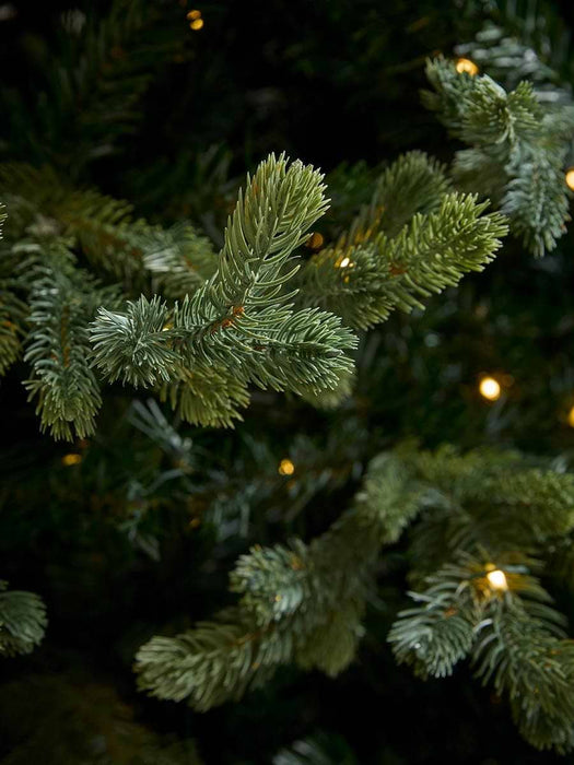 Young Pine Pre-Lit Christmas Tree - 7ft