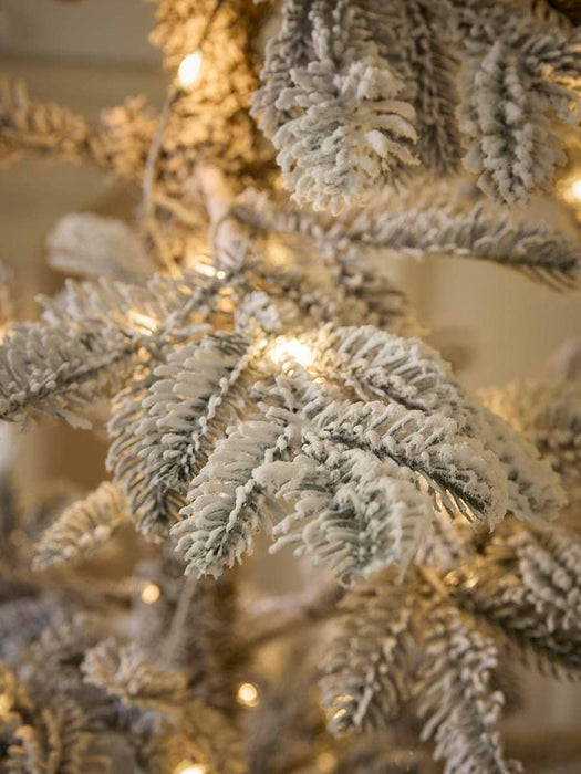 Light Up Snowy Pencil Pine - Small