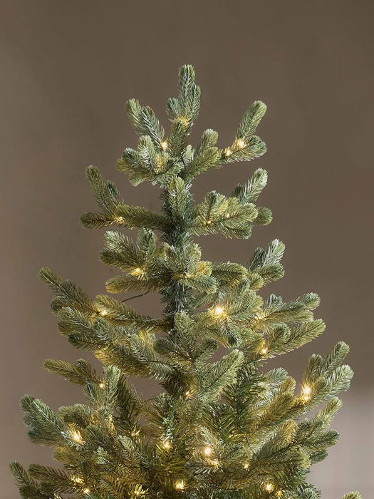Young Pine Pre-Lit Christmas Tree - 6ft