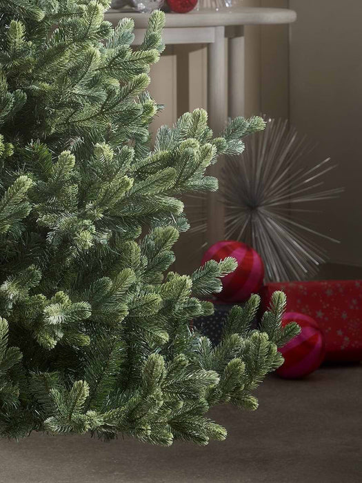 Young Pine Christmas Tree - 6ft