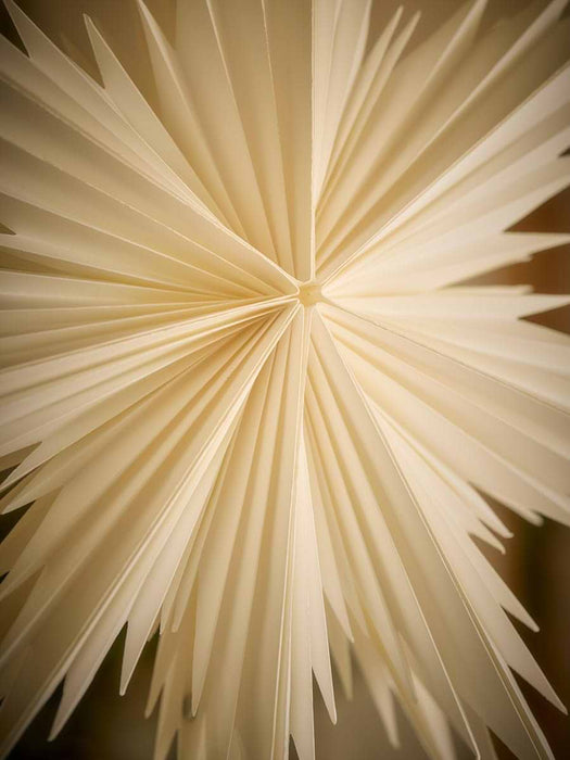 Pleated Hanging Paper Star