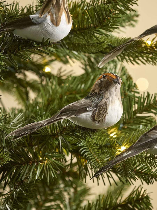 Six Feathered Bird Clips