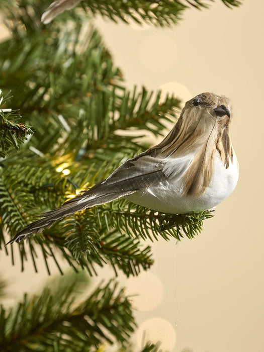 Six Feathered Bird Clips
