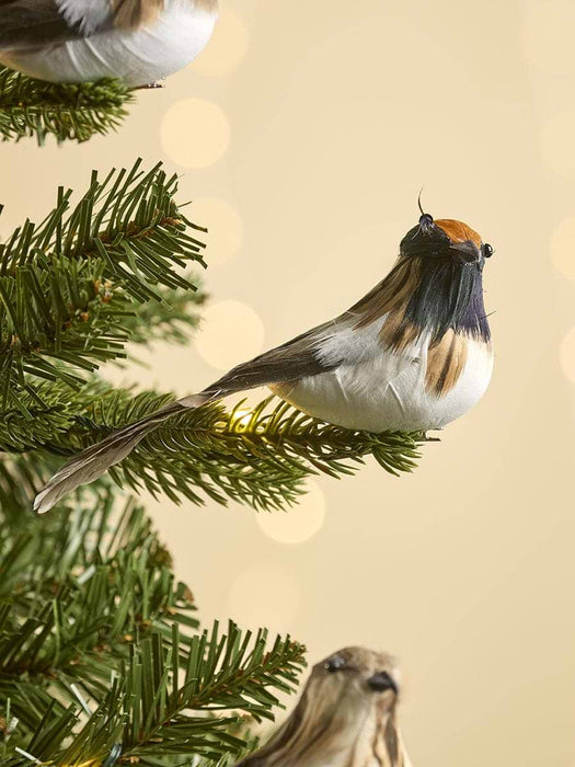 Six Feathered Bird Clips