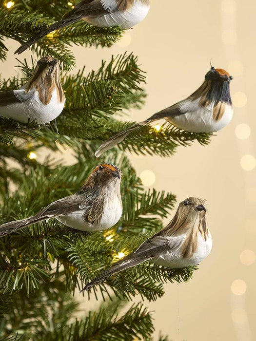Six Feathered Bird Clips