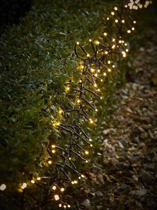 Twinkle Path Lights