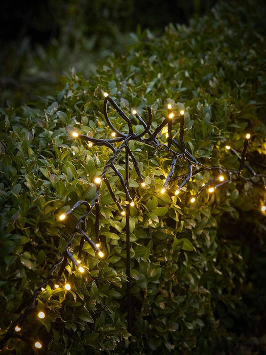 Twinkle Path Lights