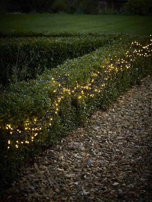Twinkle Path Lights