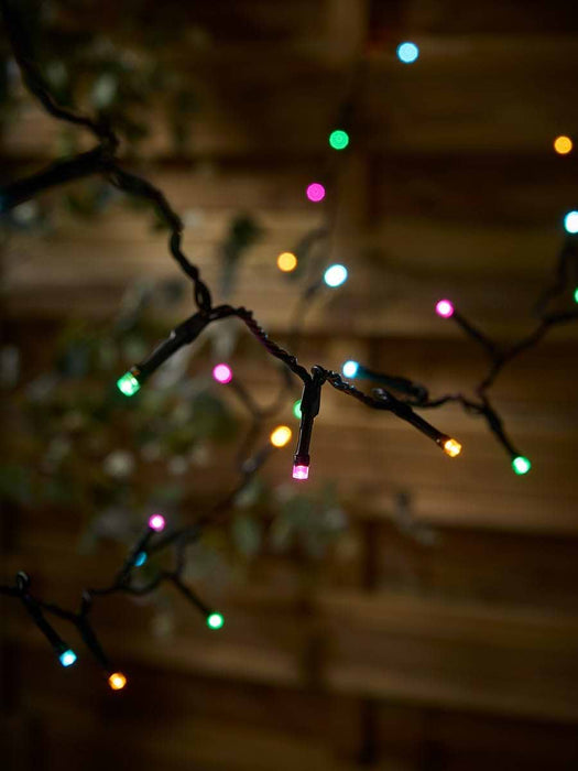 Battery Operated String Lights - Multicoloured