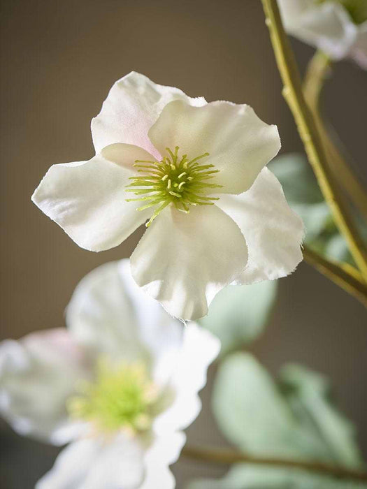 Three Faux Hellebore Sprays - Cream