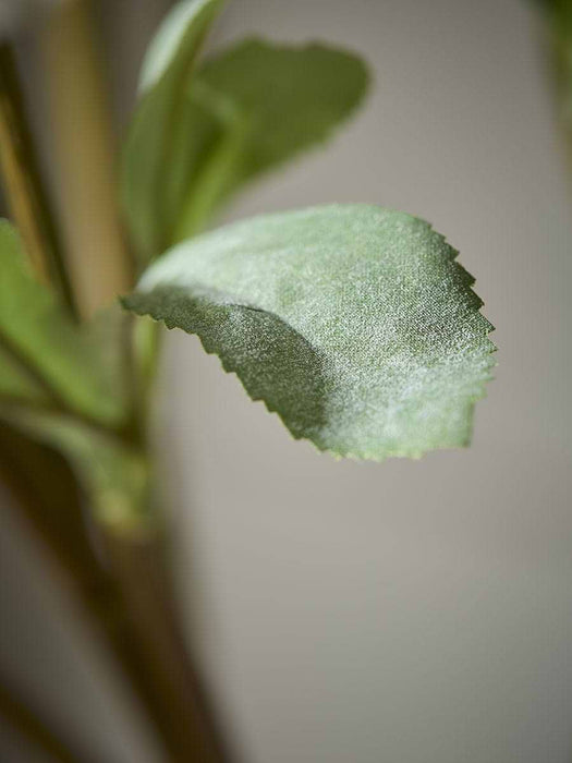 Three Faux Hellebore Sprays - Cream
