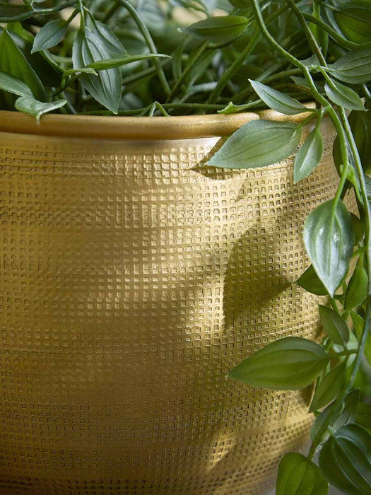 Two Embossed Planters