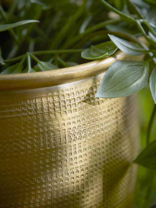 Two Embossed Planters