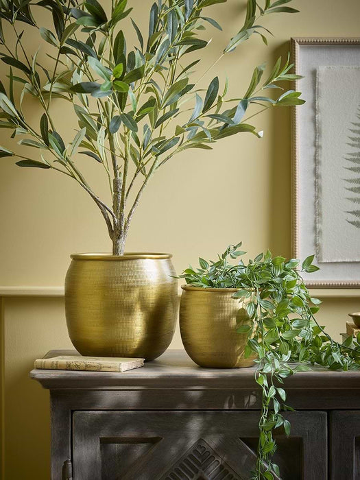 Two Embossed Planters